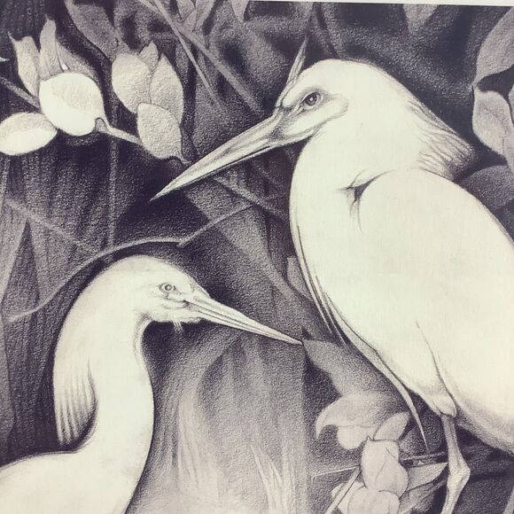 Wayman C Brown Pencil Sketch White Heron ‘Pecking Order’ 19x22 Signed & Matted - Picture 9 of 13